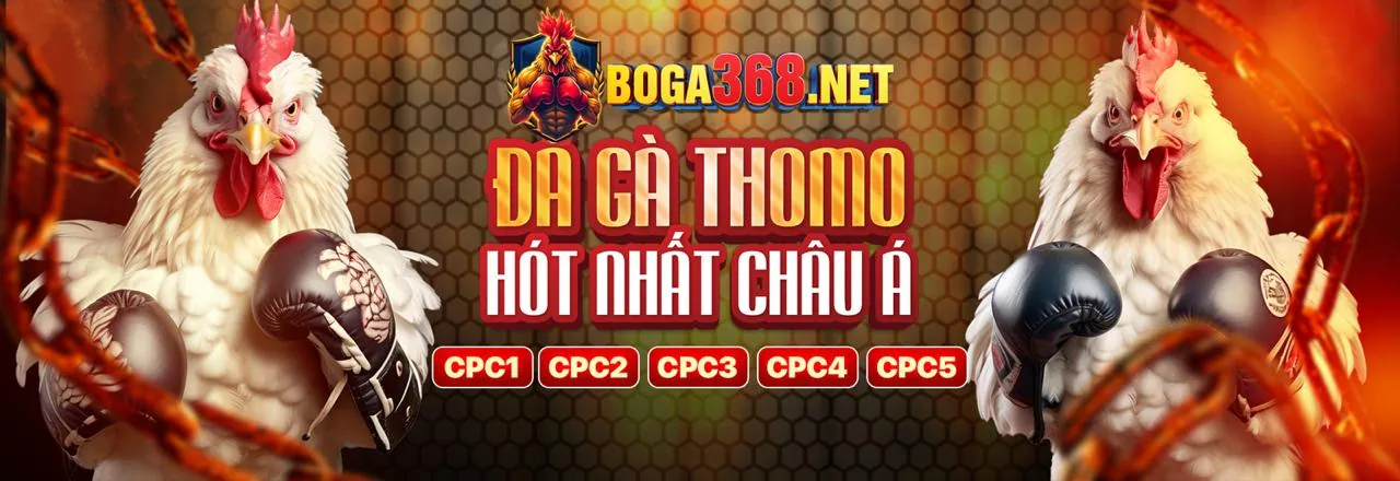 Đá Gà Trực Tuyến Hấp Dẫn tại Bet169 Kèo Nhà Cái