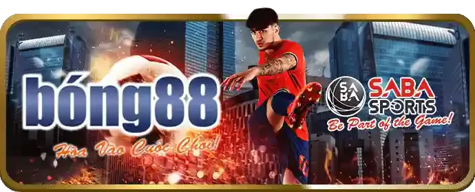 Các loại kèo cược đá gà phổ biến tại Bet169